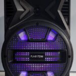 Wireless 8" Speaker FJ-817DW Bluetooth Speaker with Mic