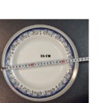 YW11-02 - 25 CM Deep Plate - 5210 Plates Melamine Crockery 175 gm