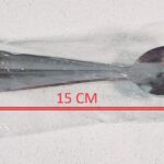 YW05-03 - HL-0761 - GF-FW - 6 Stainless Steel Small Spoon - Tea Spoon -