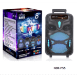 TWS NDRP55 8" inch Speaker With Extra Bass, Blutooth/USB/TF/FM/AUX Radio Wireless 300W Output with Mic