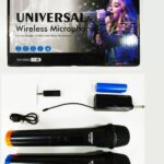Universal Dual Wireless Microphone with 6.35mm Remote Connector - Wireless Mic - DM3306