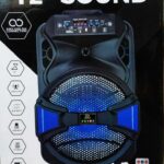 ALP-1201 12 inch 10000W PMPO professional portable wireless Rechargeable speaker with Mic and Remote